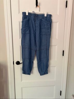 Banana Republic Blue Women's Drawstring Jogger Pants